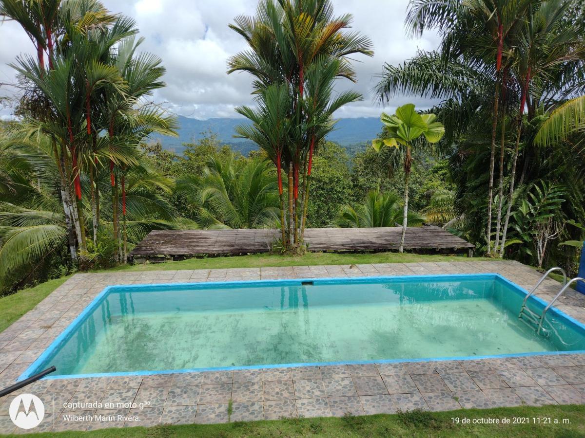 Hotel Mirador Osa Mogos Bagian luar foto