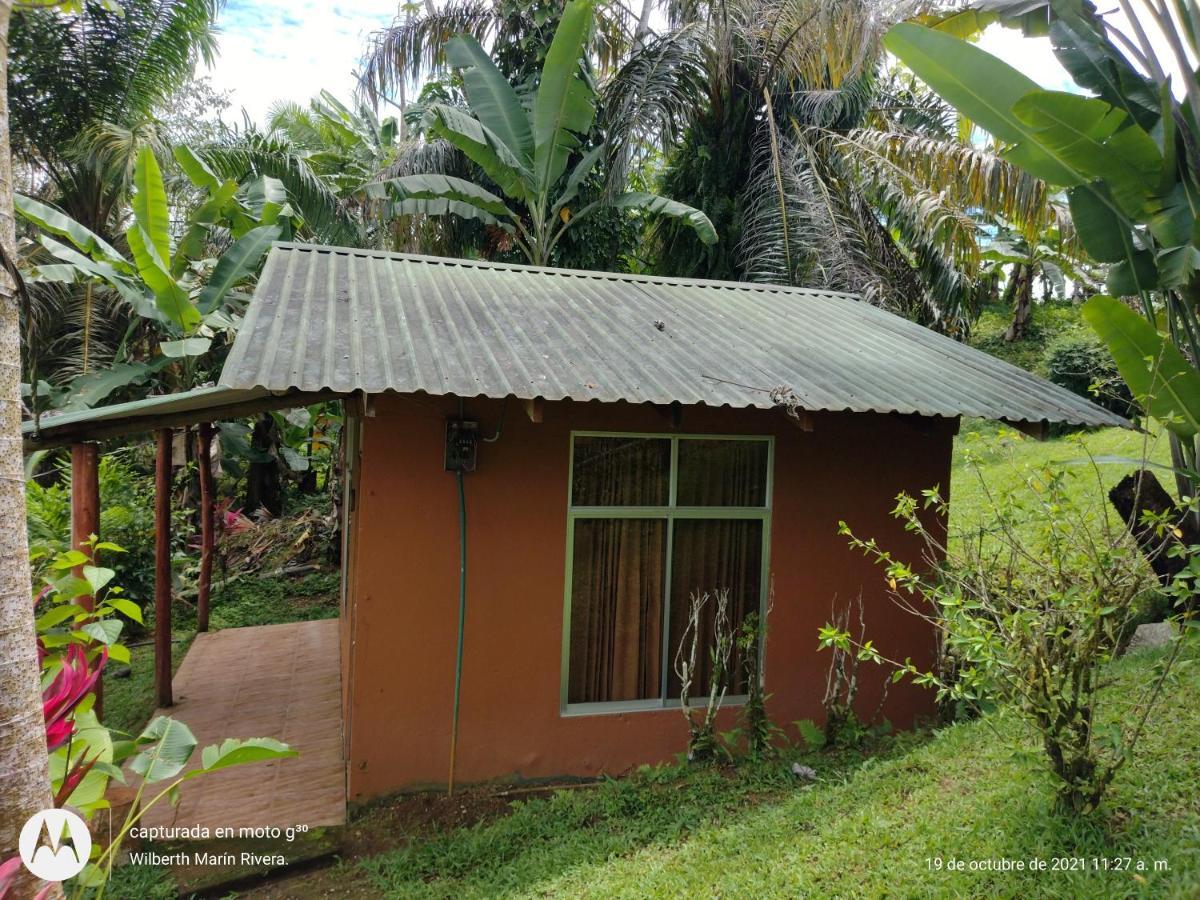 Hotel Mirador Osa Mogos Bagian luar foto