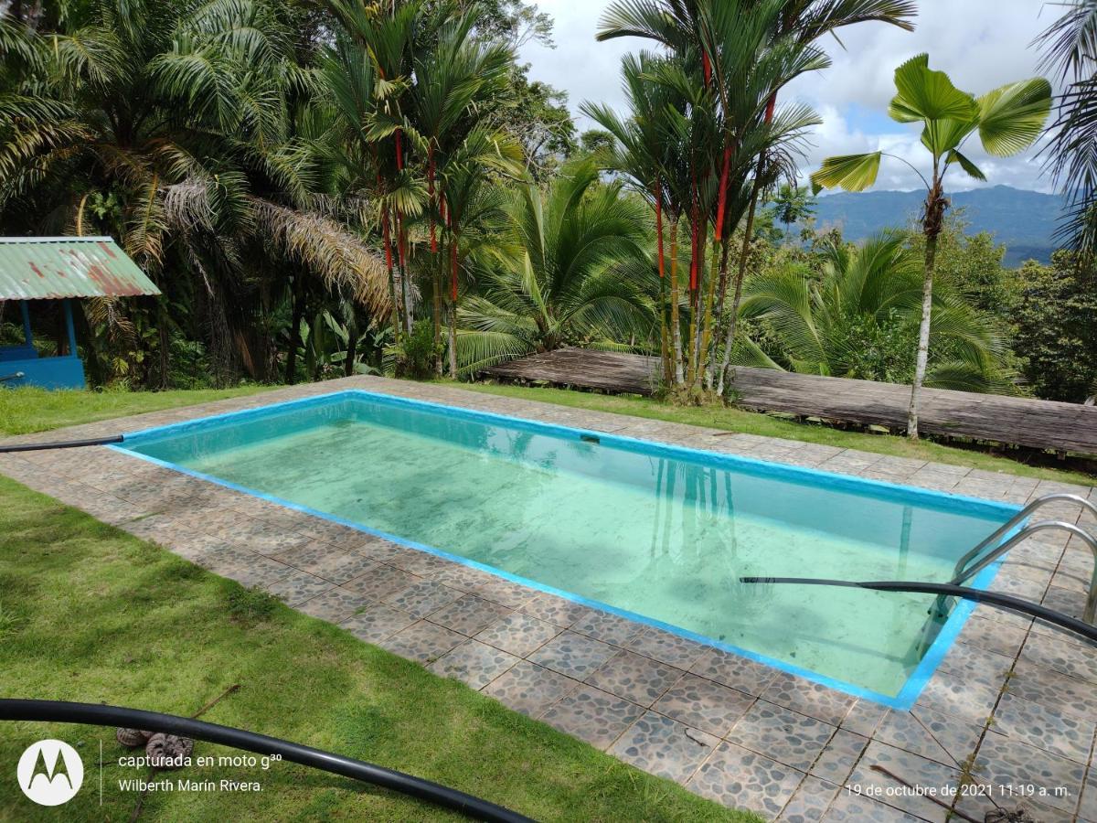 Hotel Mirador Osa Mogos Bagian luar foto