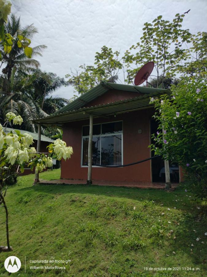 Hotel Mirador Osa Mogos Bagian luar foto