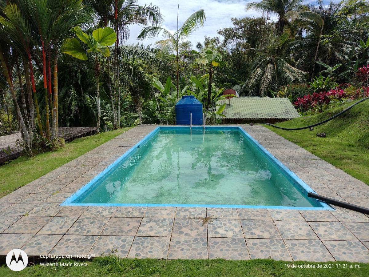 Hotel Mirador Osa Mogos Bagian luar foto